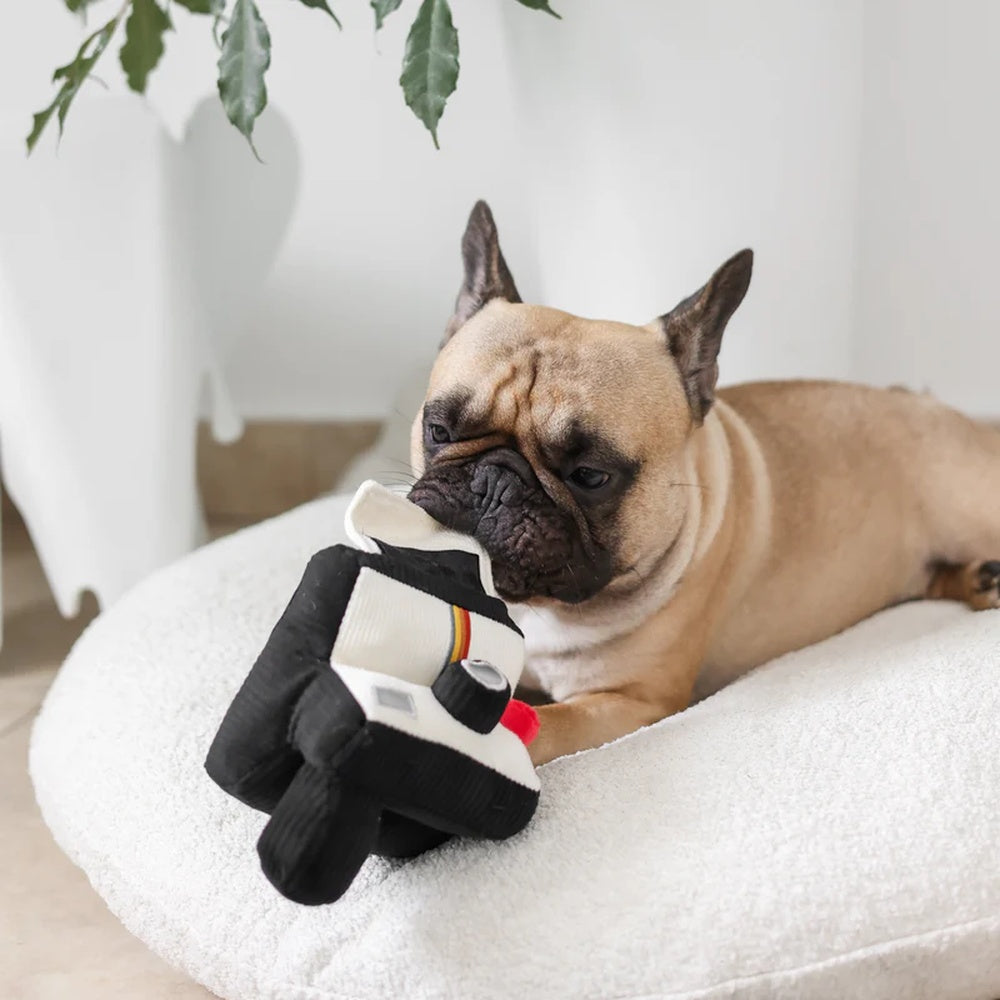 Instant Camera Snuffle + Squeaky Dog Toy - Image 8