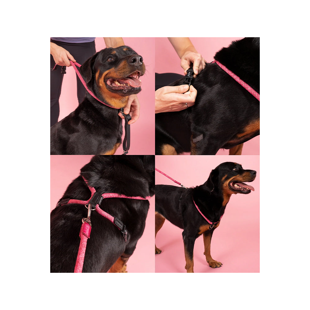 Leisure Rope Adjustable Dog Harness - Image 9