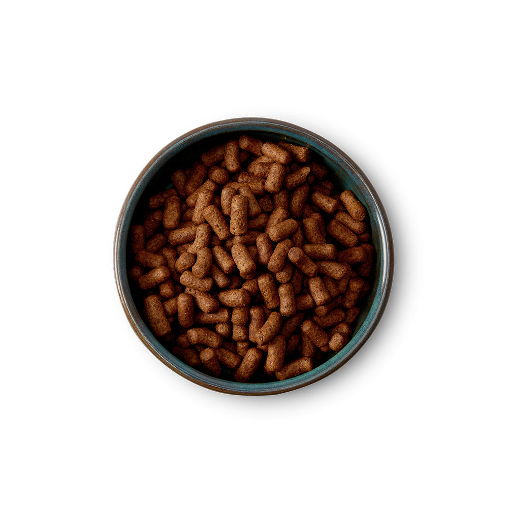 Senior / Light Chicken Dog Dry Food - Image 2