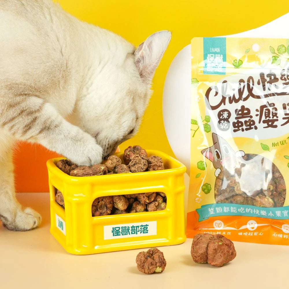 Freeze-Dried Silvervine Gall Fruit Cat Treats - Image 4