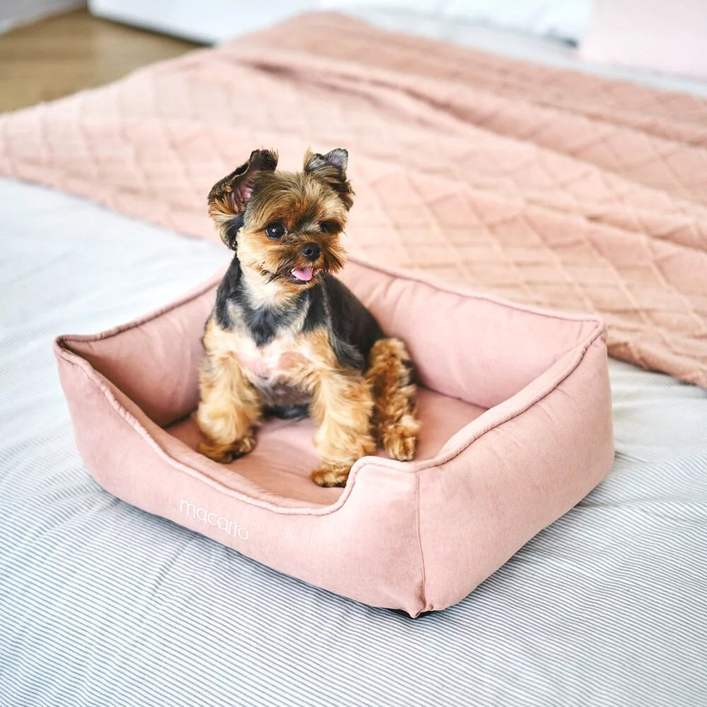 Velvet Latex Bed For Pets - Image 7