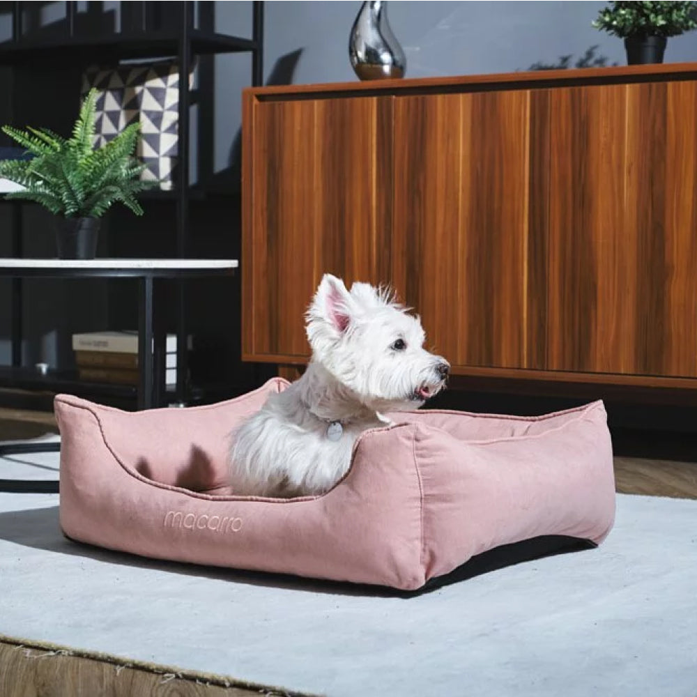 Velvet Latex Bed For Pets - Image 8