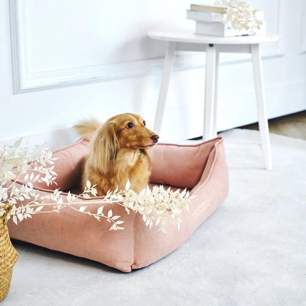 Velvet Latex Bed For Pets - Image 10