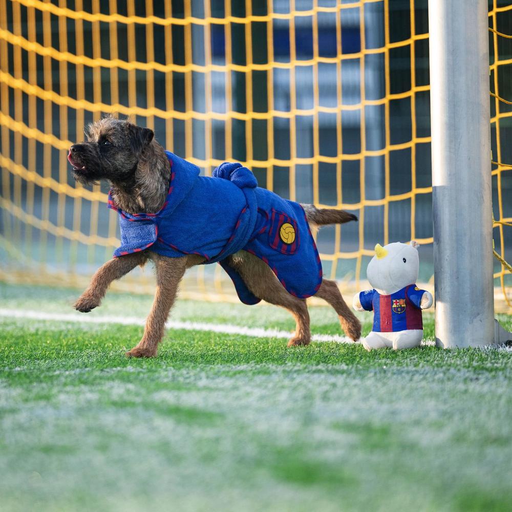 Barcelona Bathrobe for Dogs - Image 9