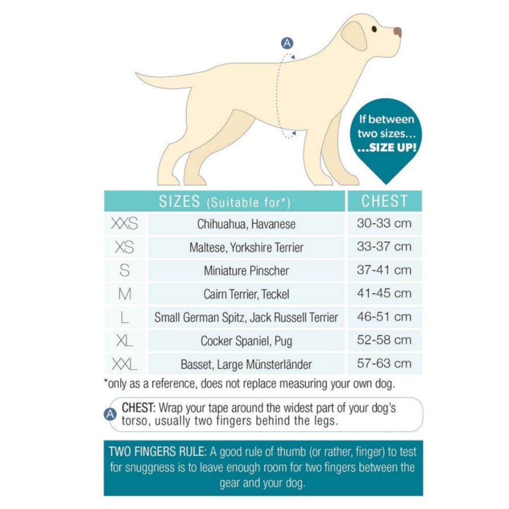 Barcelona Air Vest for Dogs - Image 2