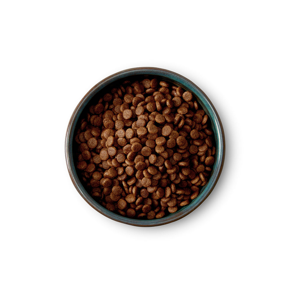 Small Breed Chicken & Salmon Dog Dry Food - Image 2