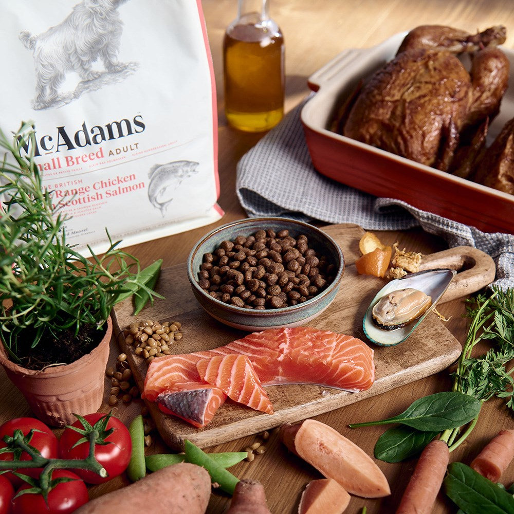 Small Breed Chicken & Salmon Dog Dry Food - Image 3