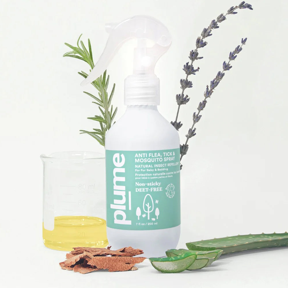 Natural Insect Repellent for Anti Flea, Tick & Mosquito Spray - Image 2
