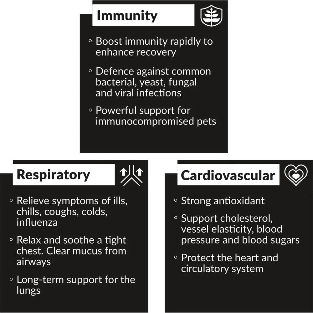 OliveBoost Supplement for Dogs & Cats - Image 4