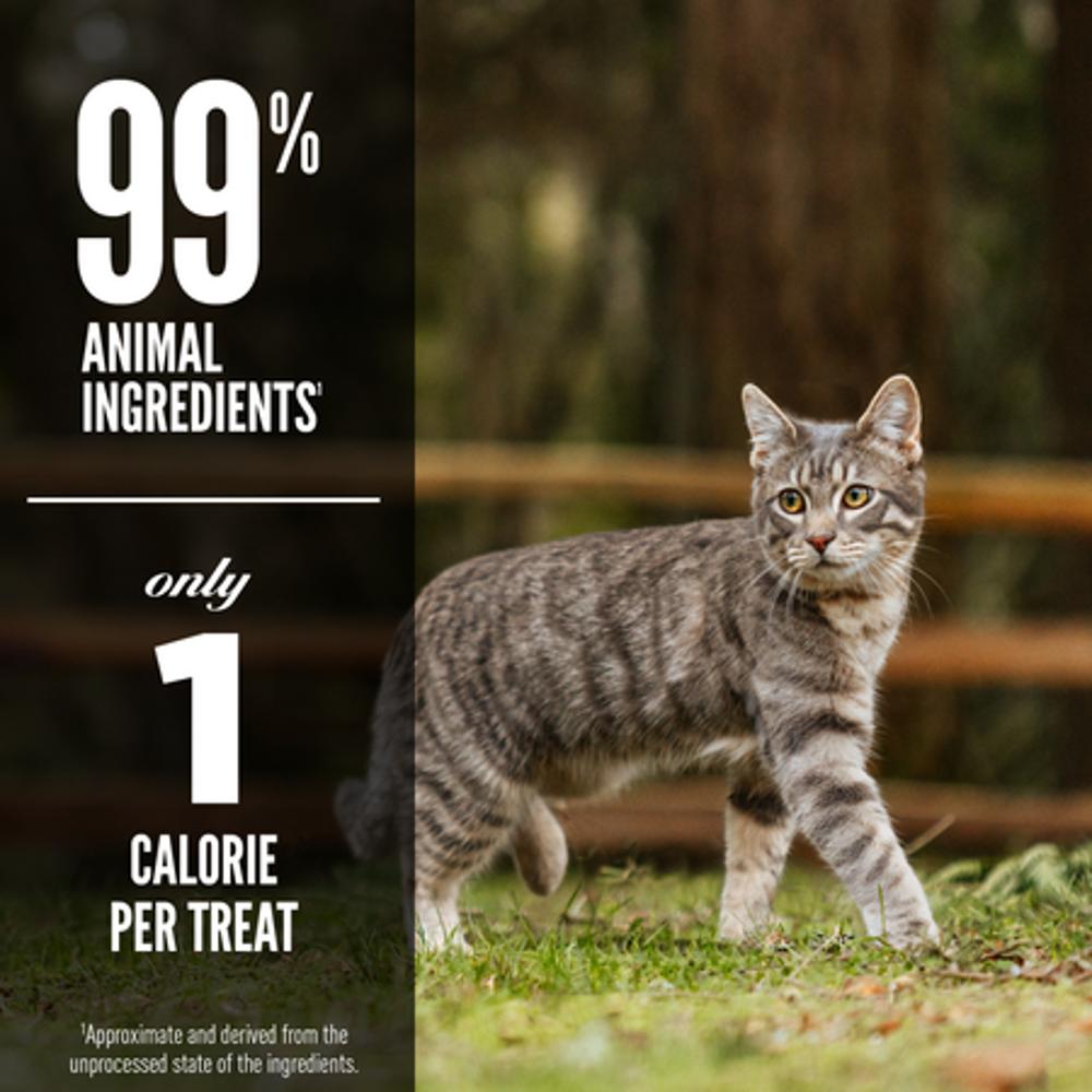Freeze-Dried Six Fish Cat Treats - Image 4
