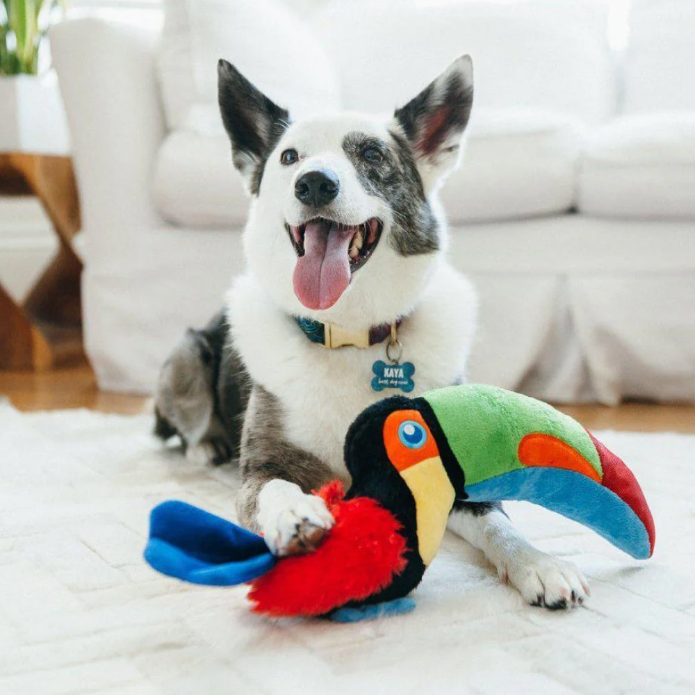 Fetching Flock Tito The Toucan - Image 3