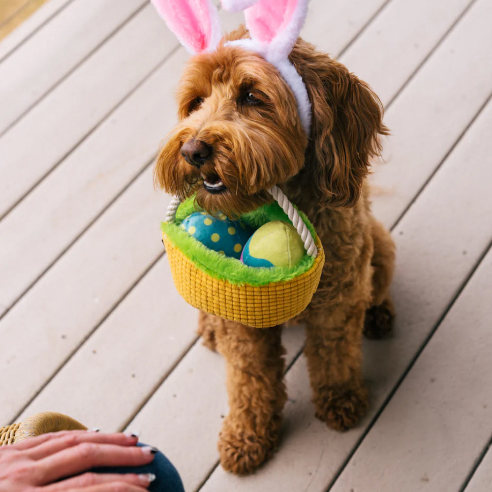 Hippity Hoppity Eggs Cellent Basket - Image 3