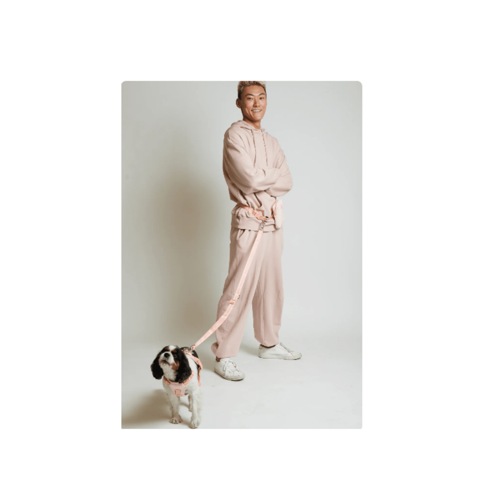Ease Hands Free Dog Leash - Image 7
