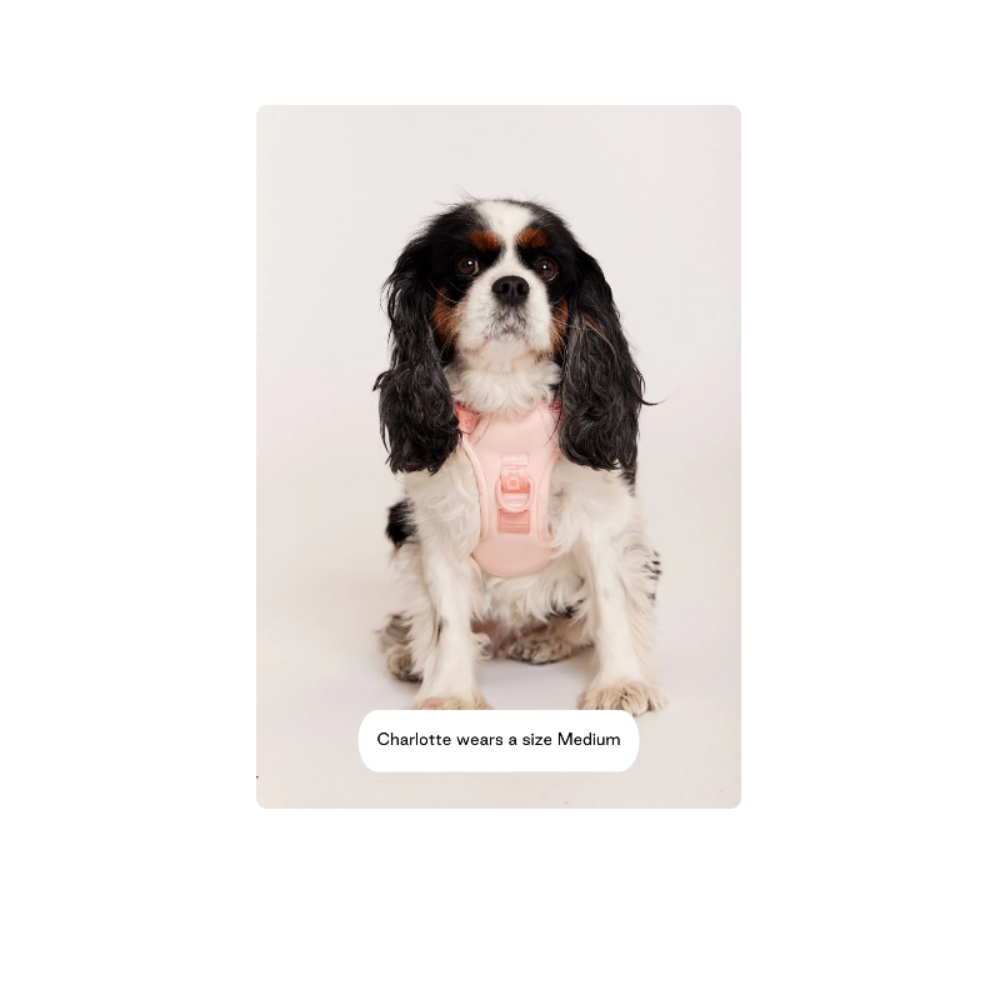 Easy Fit Harness - Image 10