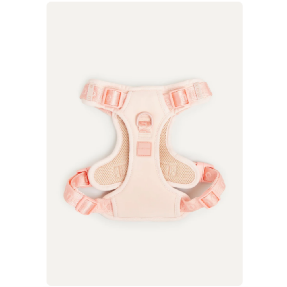 Easy Fit Harness - Image 8