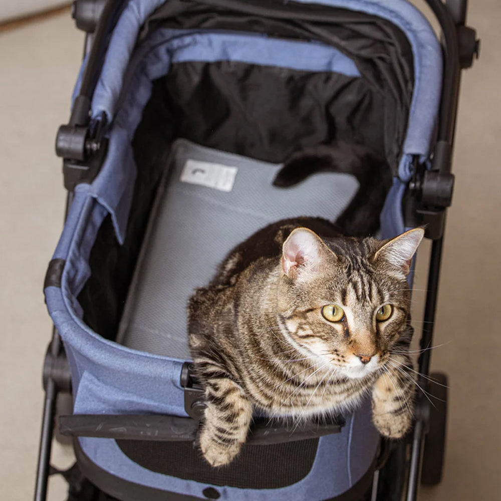 Miqoo Air Cooling Mat for Dogs & Cats - Image 11