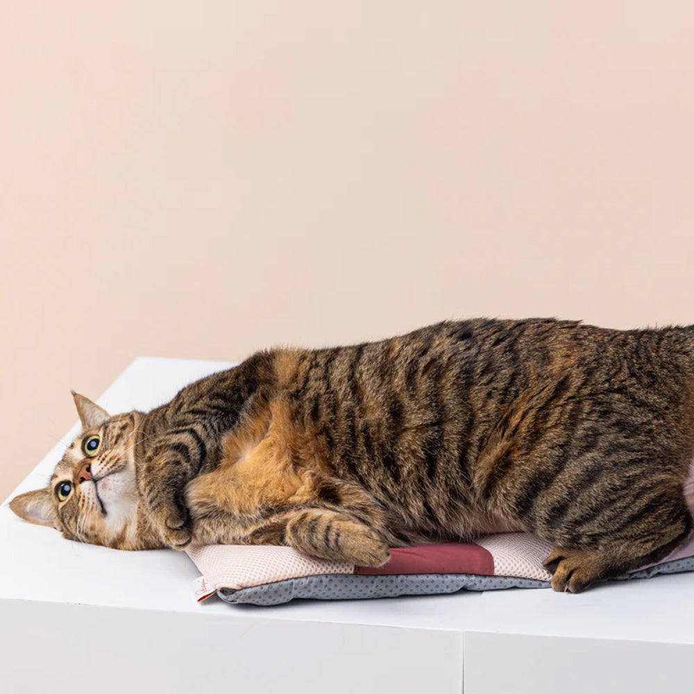 Miqoo Air Cooling Mat for Dogs & Cats - Image 7