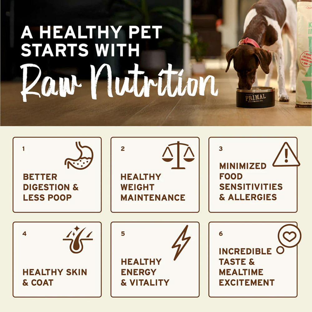 Freeze Dried Chicken Nuggets Dog Food - Image 4