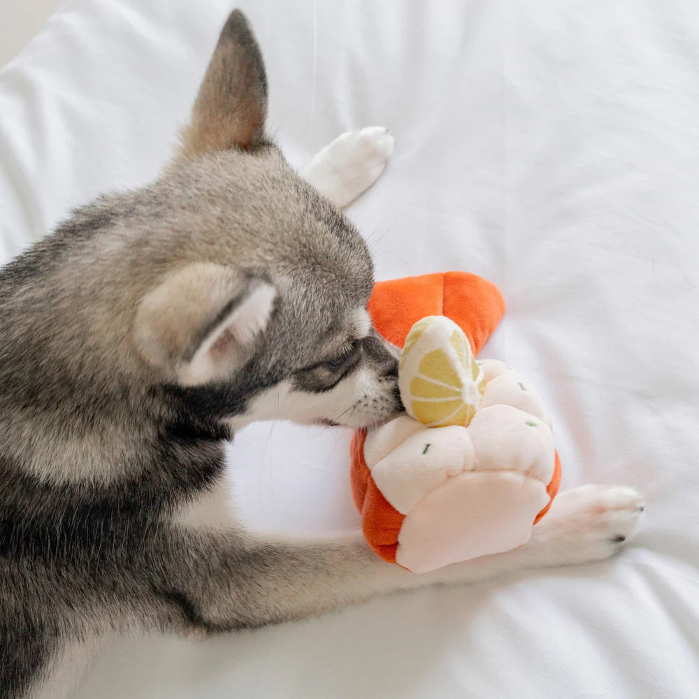 Grilled Lobster Nosework Dog Plush Toy - Image 4