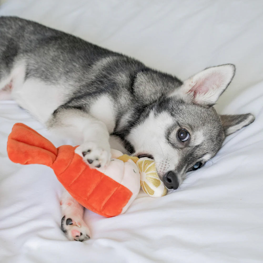Grilled Lobster Nosework Dog Plush Toy - Image 5