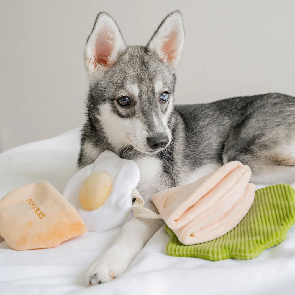 Pita Pocket Nosework Dog Plush Toy - Image 5