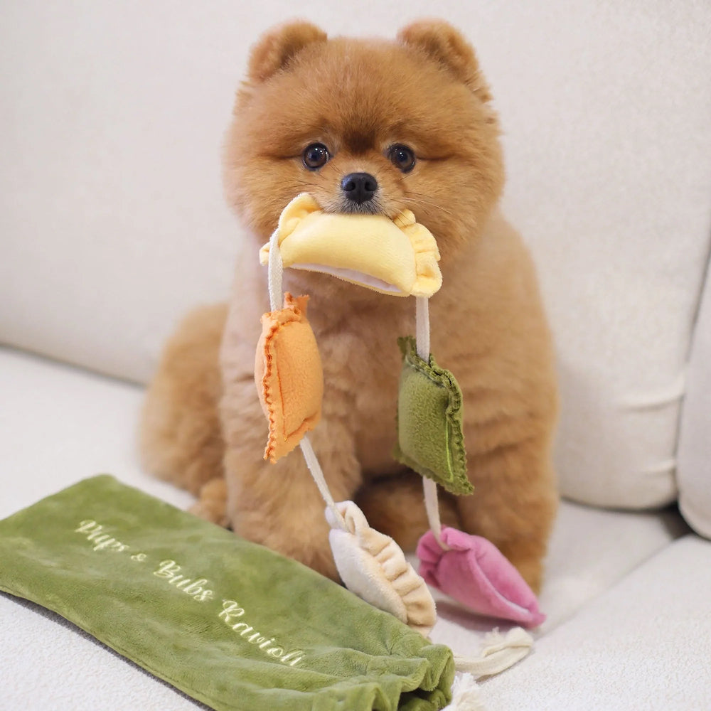 Ravioli Nosework Dog Plush Toy - Image 2