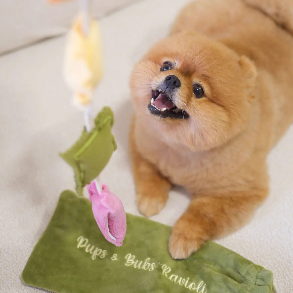 Ravioli Nosework Dog Plush Toy - Image 7