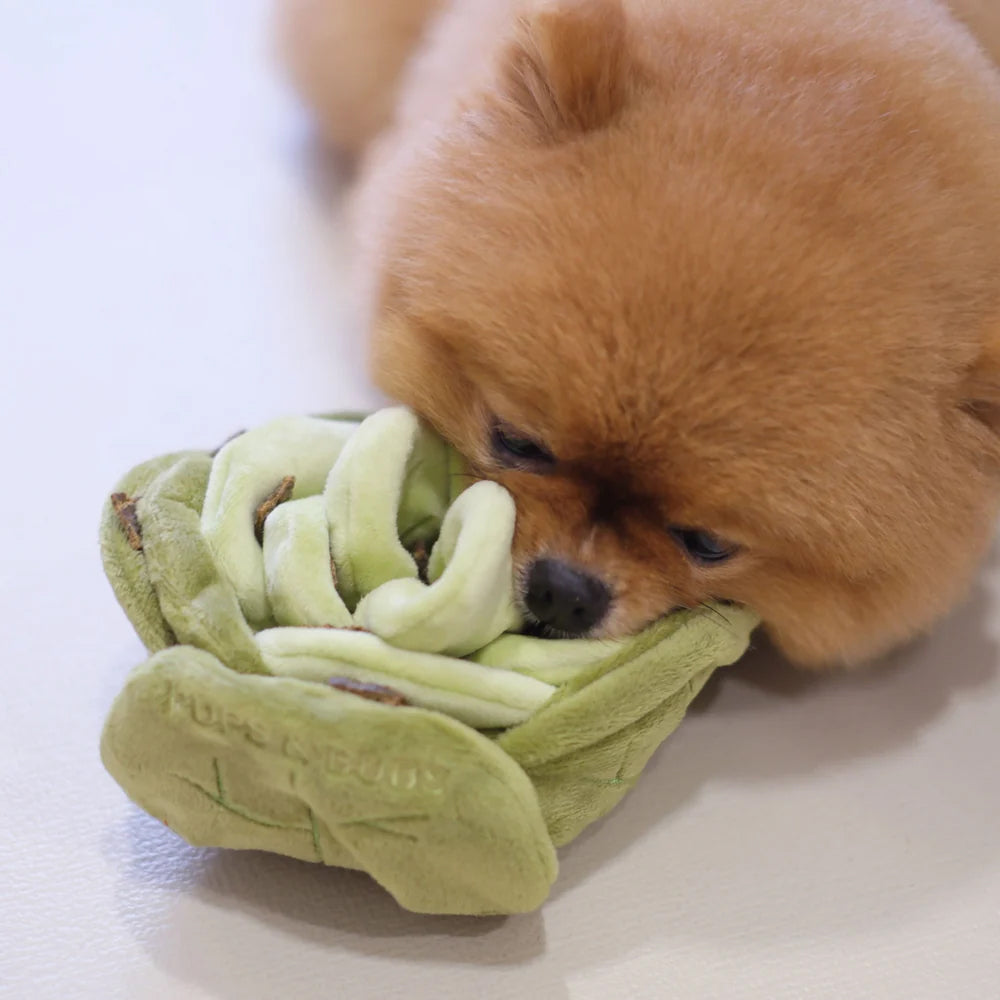 Snuffle Cabbage Nosework Dog Plush Toy - Image 3