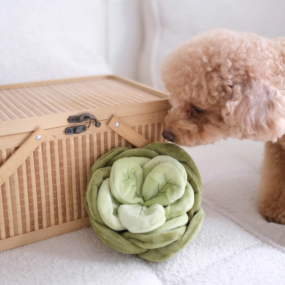 Snuffle Cabbage Nosework Dog Plush Toy - Image 4