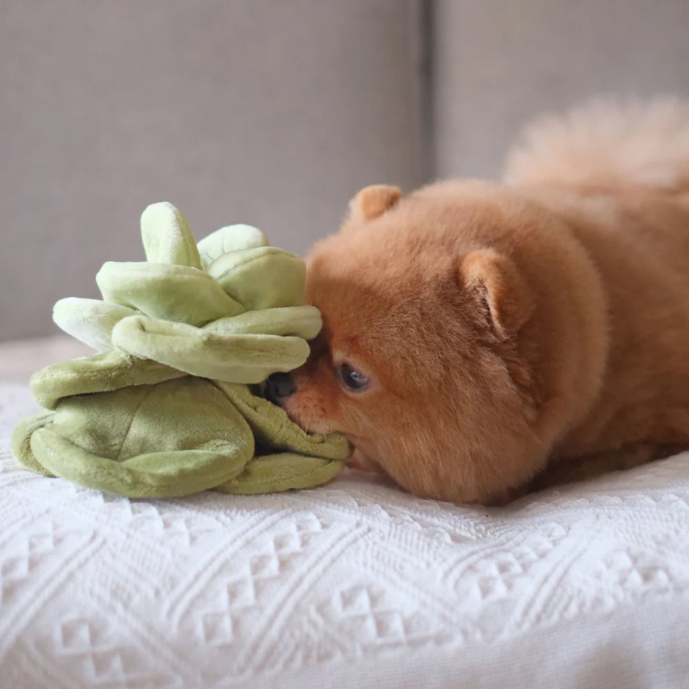 Snuffle Cabbage Nosework Dog Plush Toy - Image 5