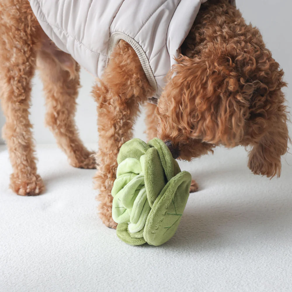 Snuffle Cabbage Nosework Dog Plush Toy - Image 6