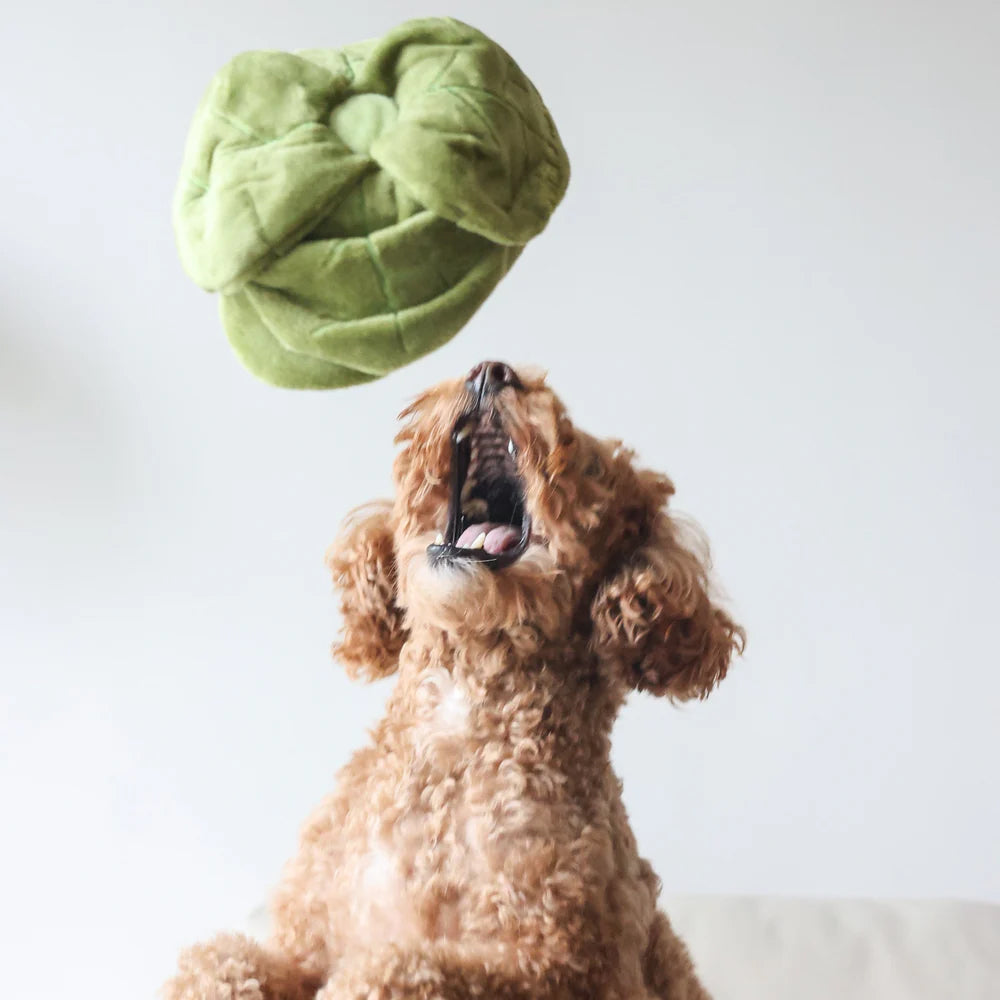 Snuffle Cabbage Nosework Dog Plush Toy - Image 8