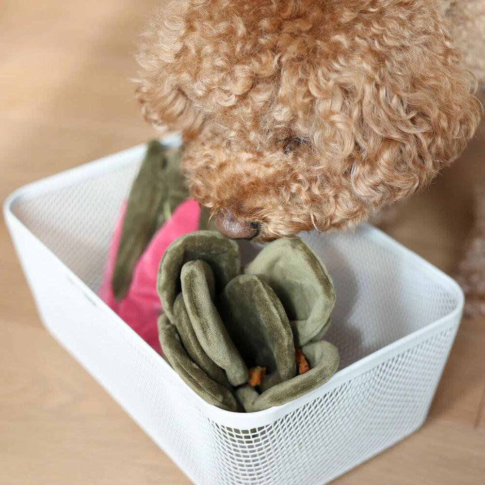 Snuffle Swiss Chard Plush Toy - Image 9