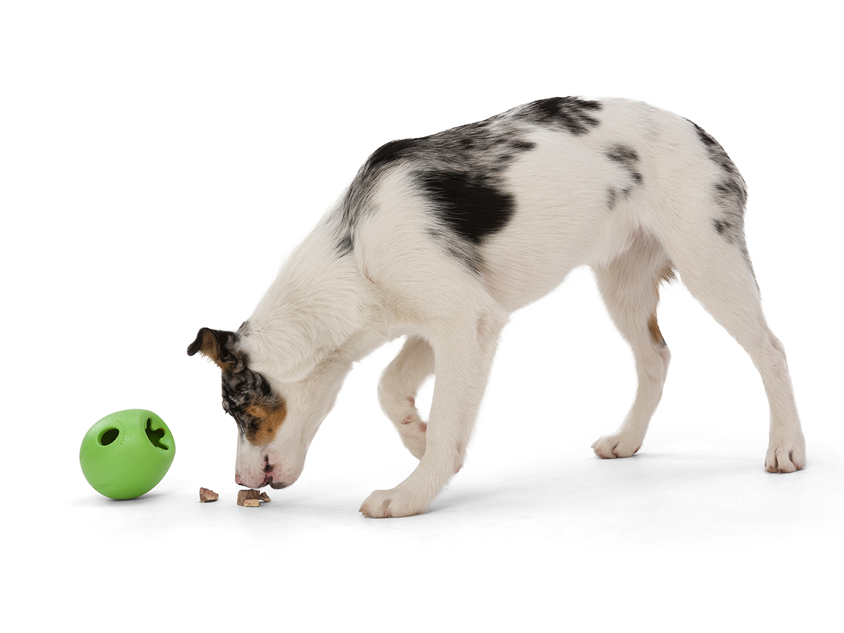Rumbl Dog Treat Toy - Image 11