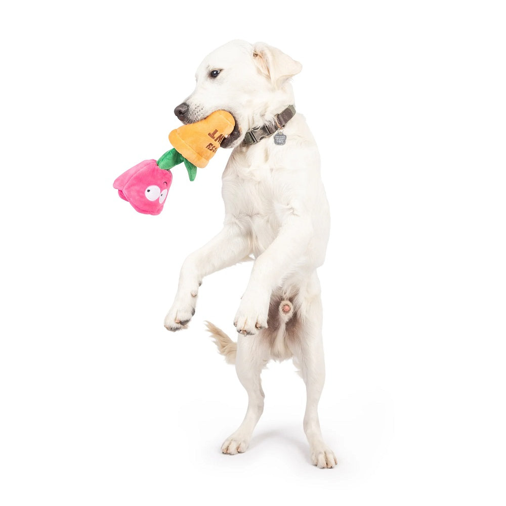 Rosie Pawt Dog Plush Toy - Image 4