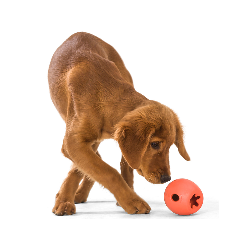 Rumbl Dog Treat Toy - Image 12