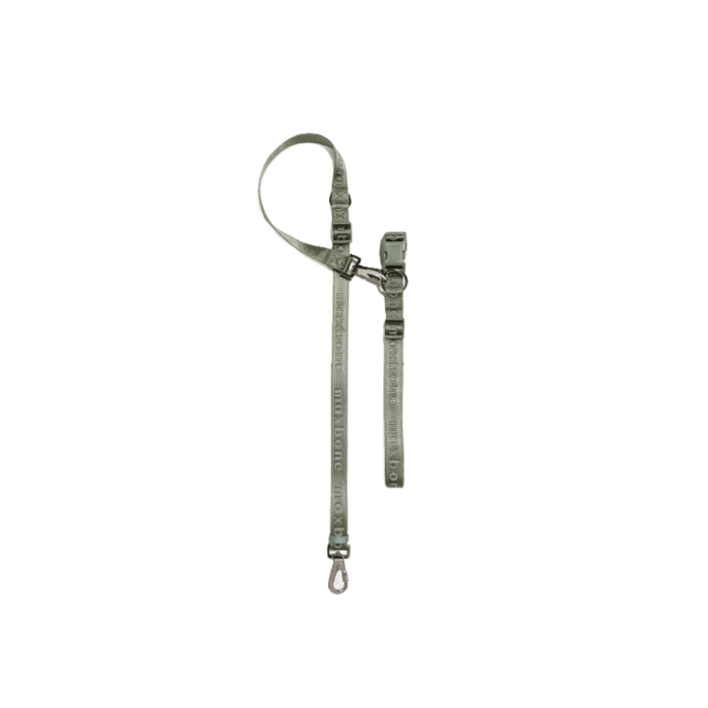 Ease Hands Free Dog Leash - Image 3