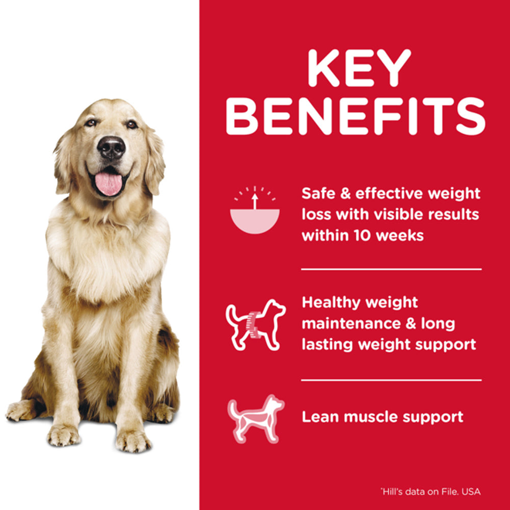 Science Diet - Perfect Weight Original Bites Adult 1-6 Dog Dry Food - Image 4