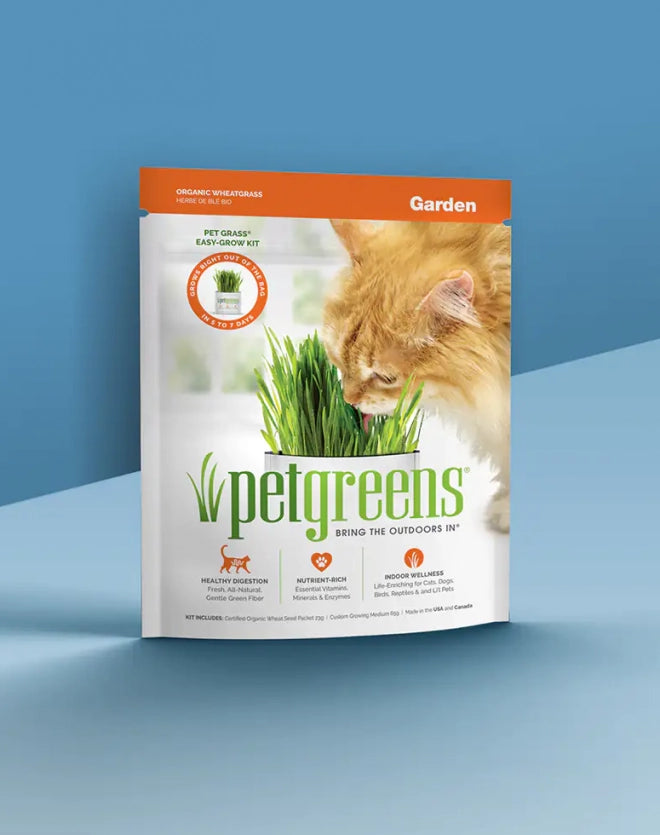 Pet Grass Self-Grow Kit - Image 2