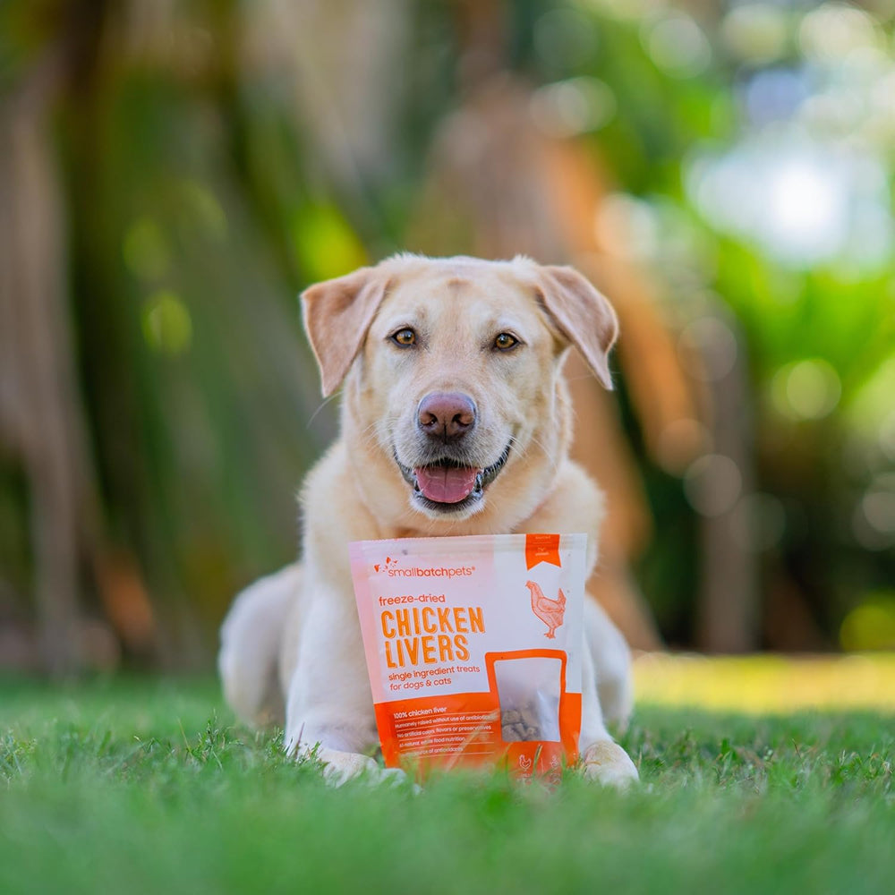 Smallbatch - Freeze Dried Chicken Liver Treats for Dogs & Cats - Image 4