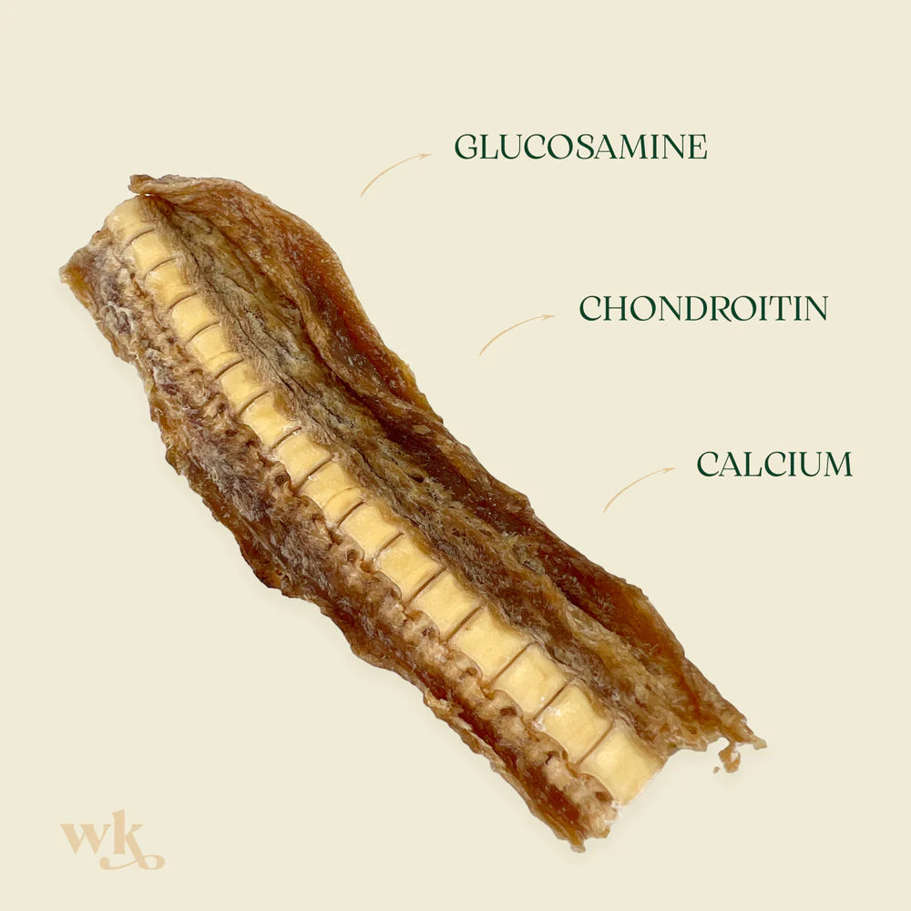 Southern Ocean Shark Cartilage - Large Pack Air-Dried Dog Treats - Image 4