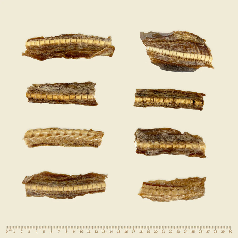 Southern Ocean Shark Cartilage - Large Pack Air-Dried Dog Treats - Image 3
