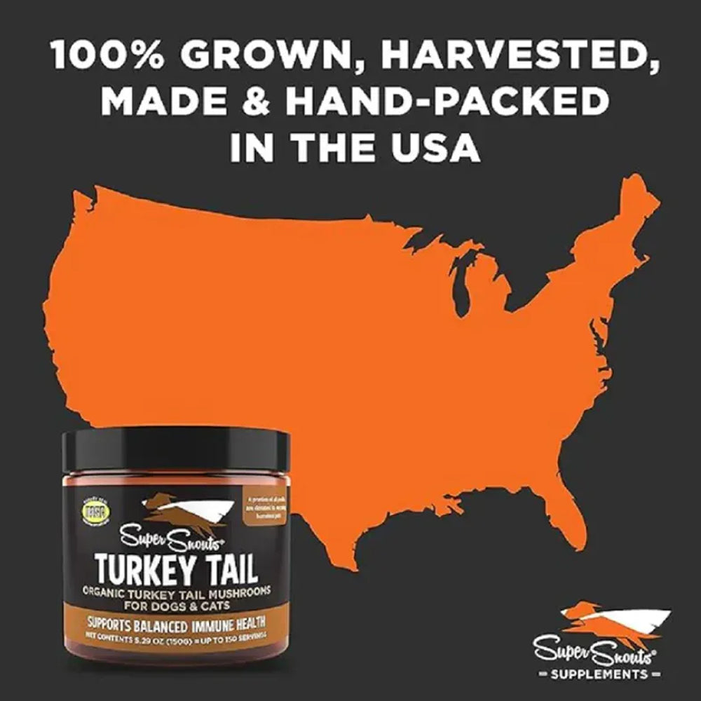 Turkey Tail Mushroom Powered Pet Supplement - Image 2