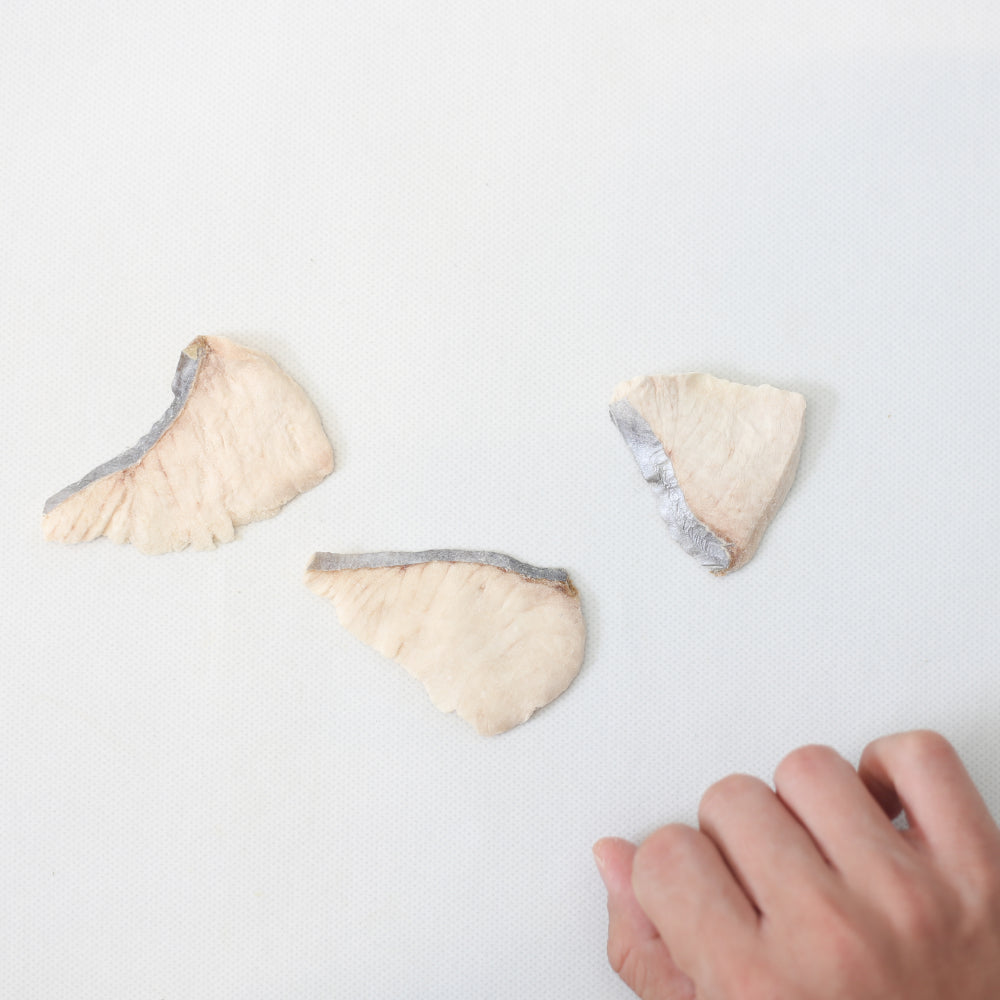 Freeze Dried Batang Fish Treats for Dogs and Cats - Image 3
