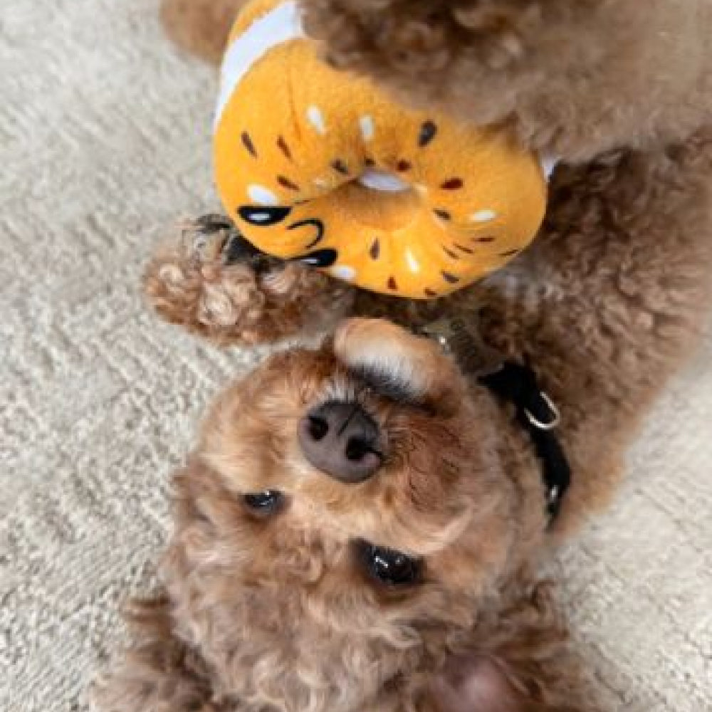 Bagel Dog Plush Toy - Image 3