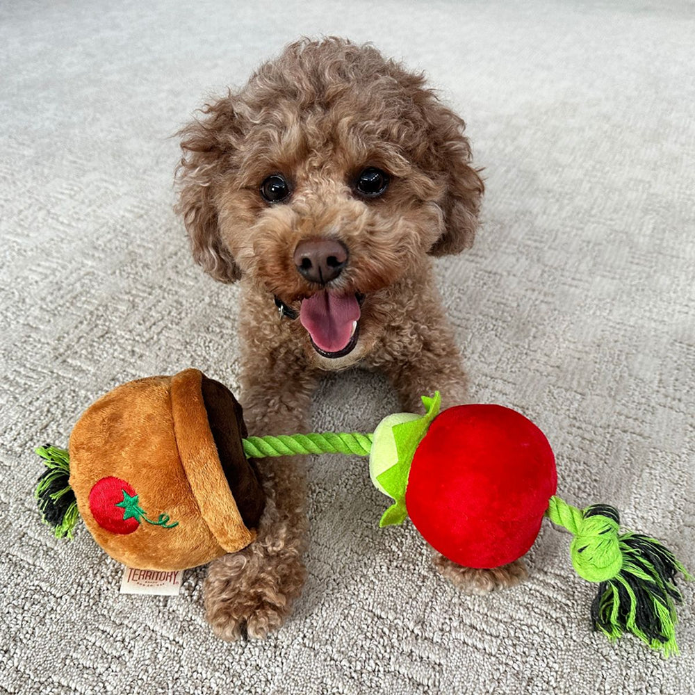 Tomato Dog Tug Toy - Image 4