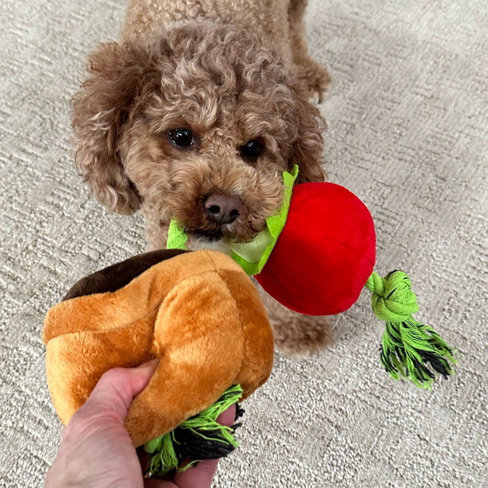 Tomato Dog Tug Toy - Image 5