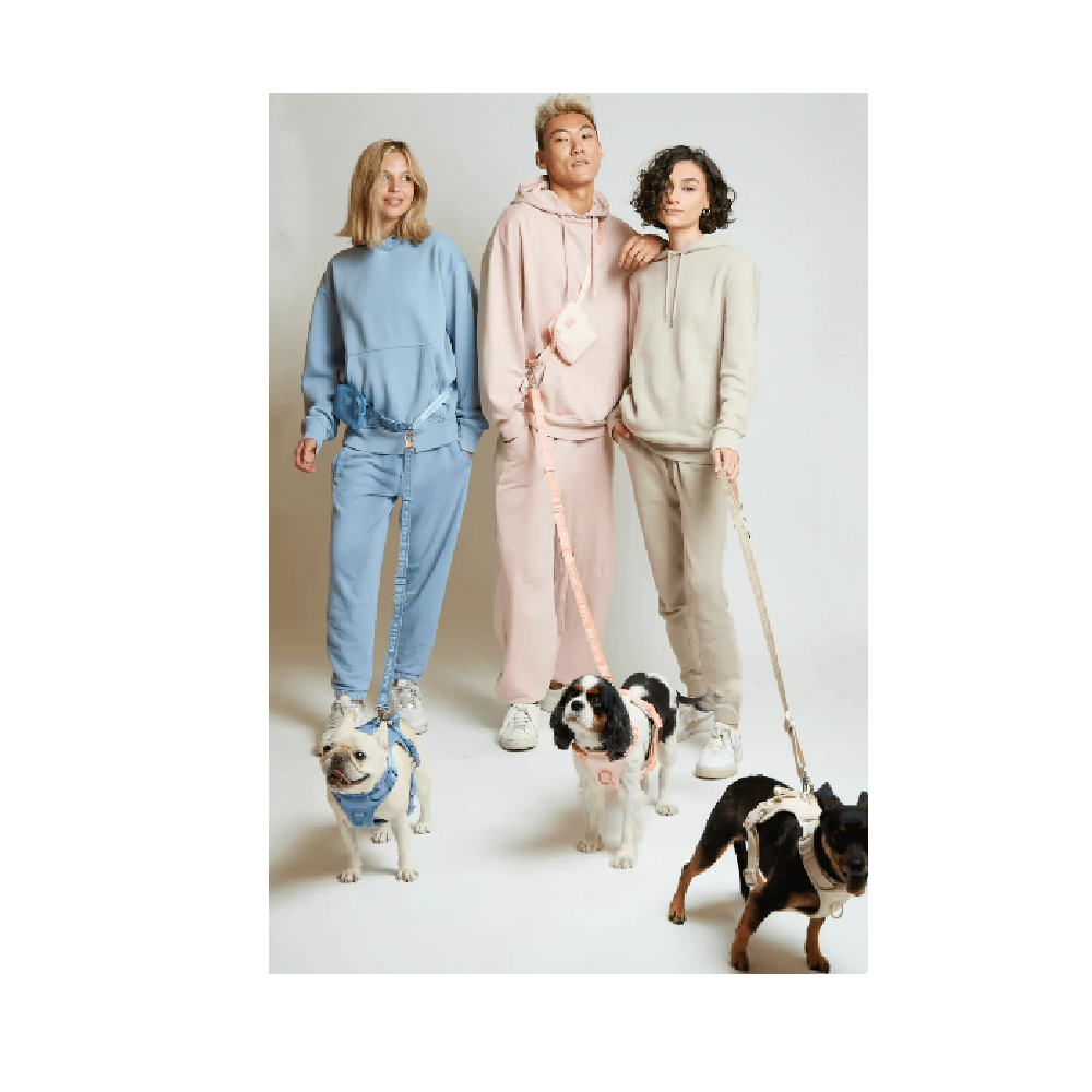Ease Hands Free Dog Leash - Image 9