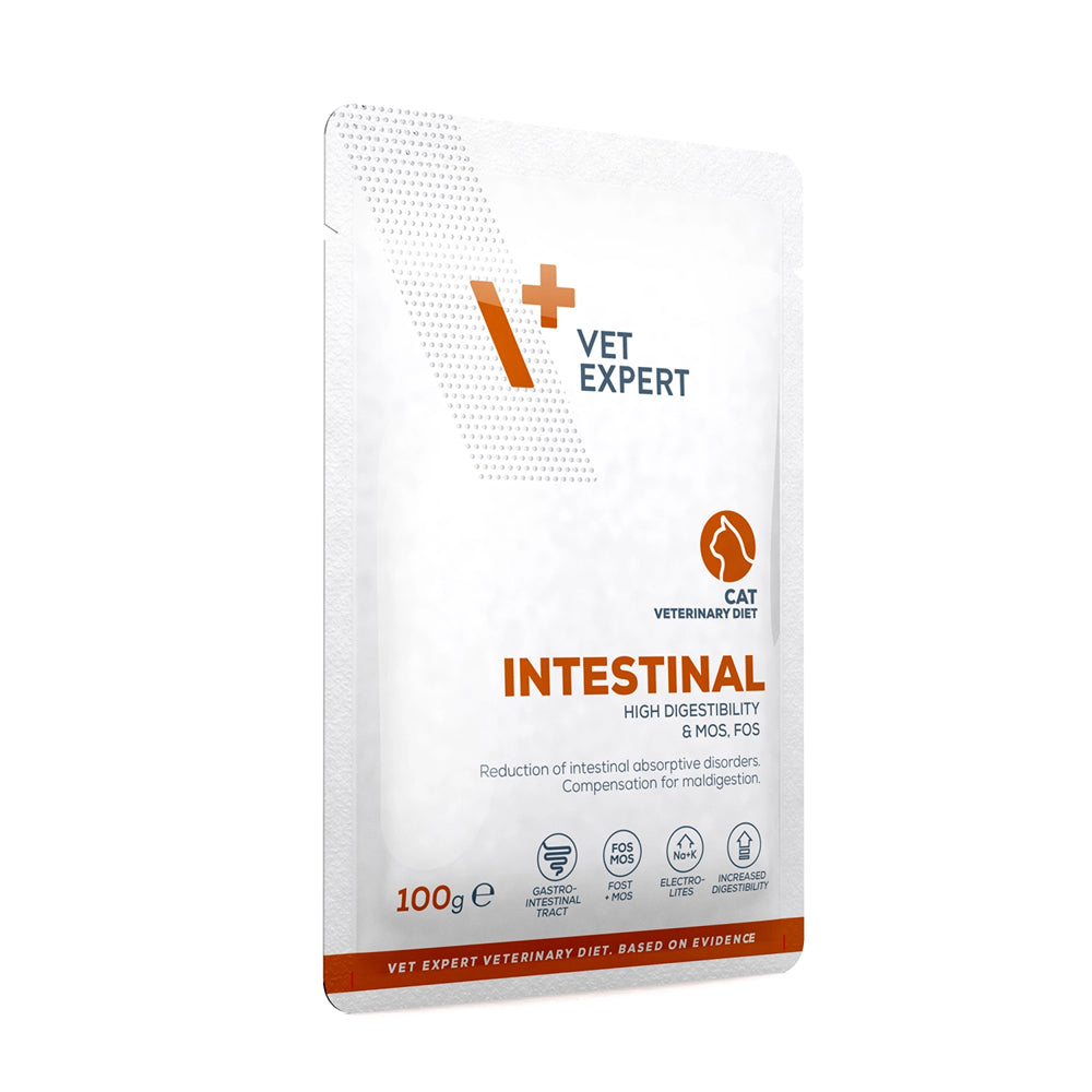 Intestinal Cat Pouch - Image 3