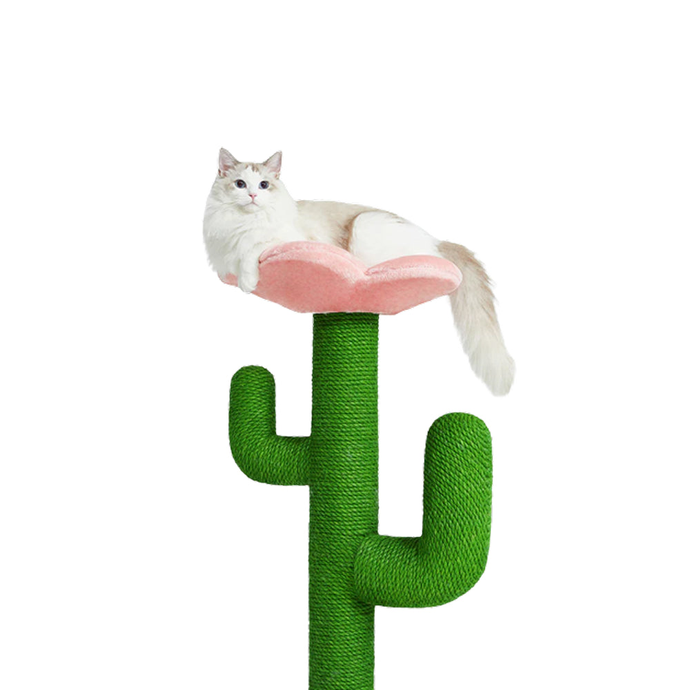 Blooming Cactus Cat Tree - Image 6
